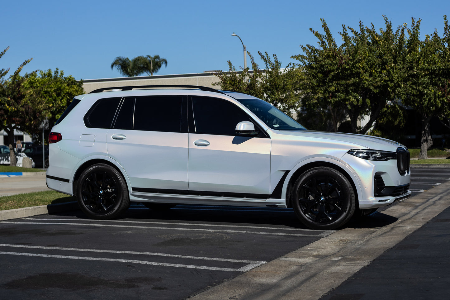 Gloss Iridescent White