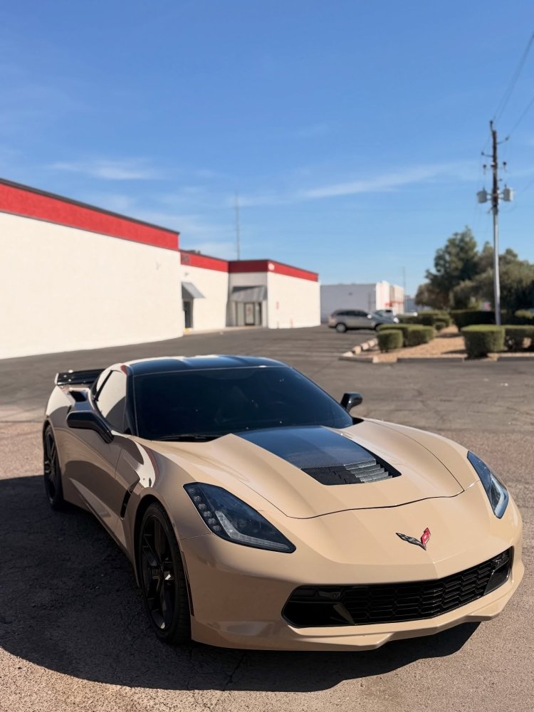 Gloss Desert Tan - Aura Vinyl