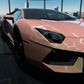 Gloss Gold Pink Shift