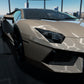 Gloss Paint Metallic Champagne Tan
