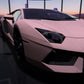 Matte Carnation Pink