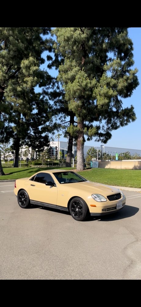 Gloss Desert Tan - Aura Vinyl