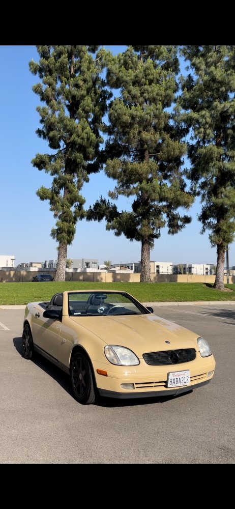 Gloss Desert Tan - Aura Vinyl