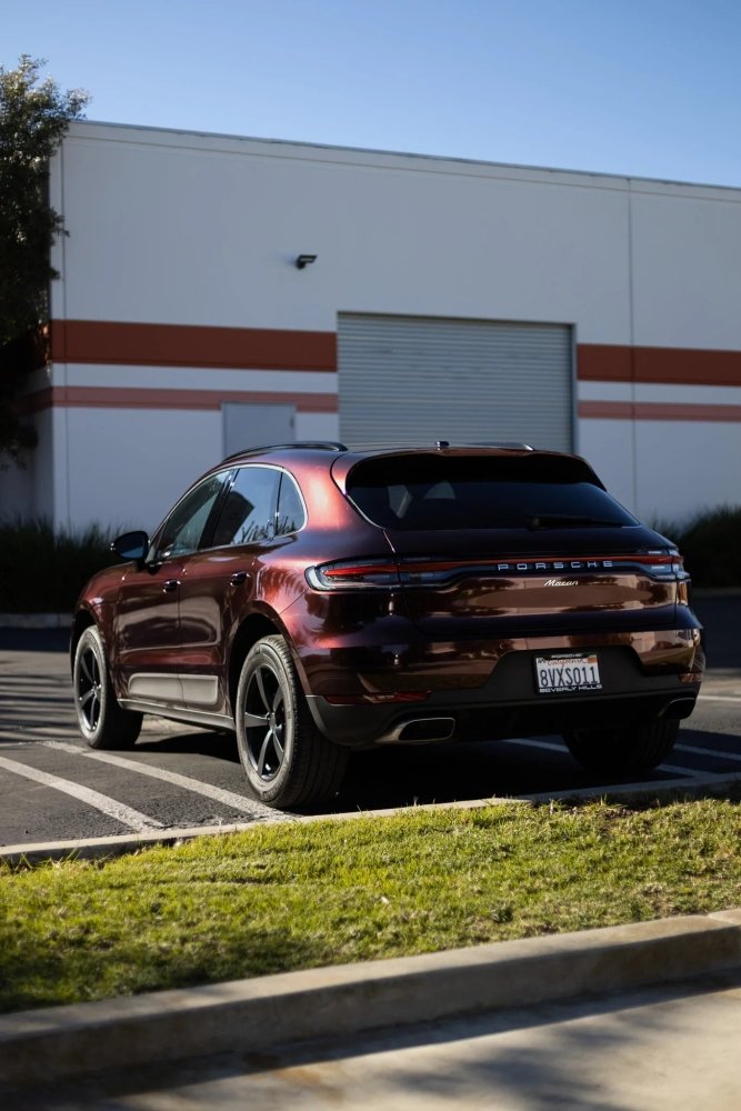 Gloss Paint Metallic Black Rose Burgundy - Aura Vinyl