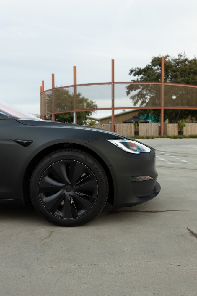 Matte Phantom Black Gold - Aura Vinyl