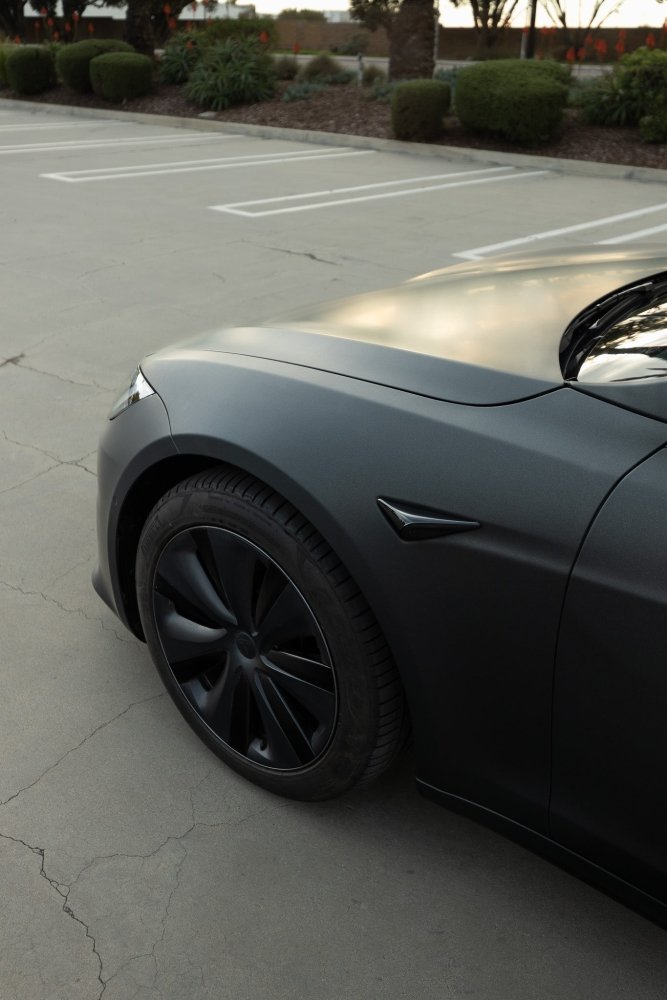 Matte Phantom Black Gold - Aura Vinyl