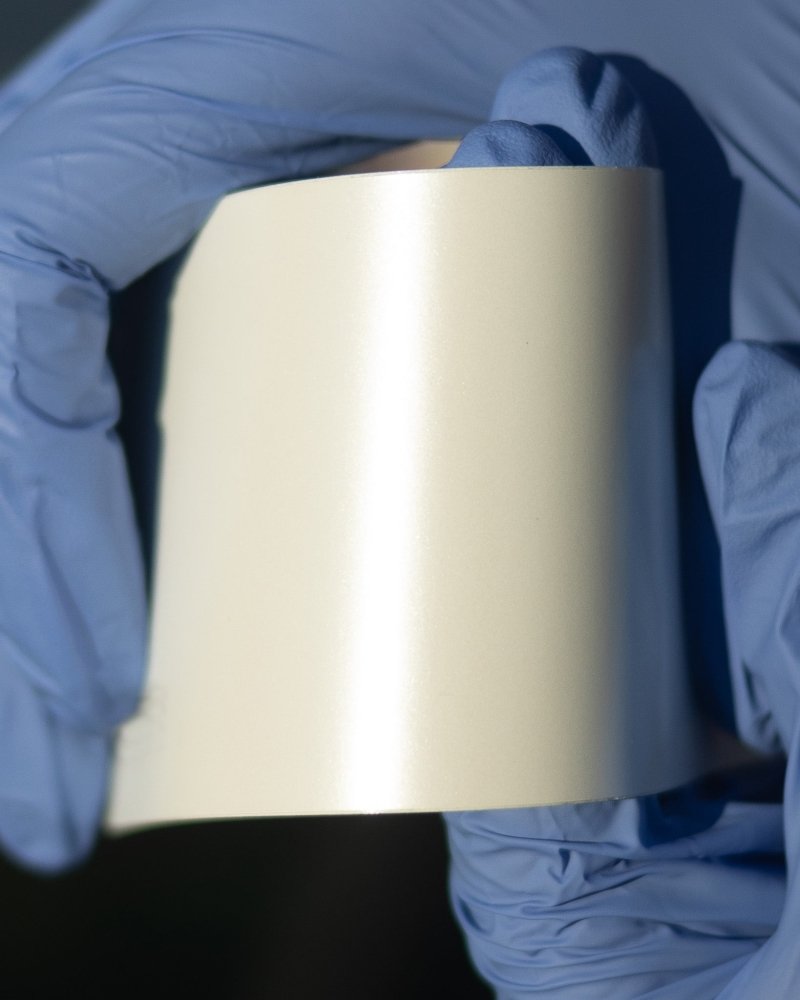 Satin Shell White Roll